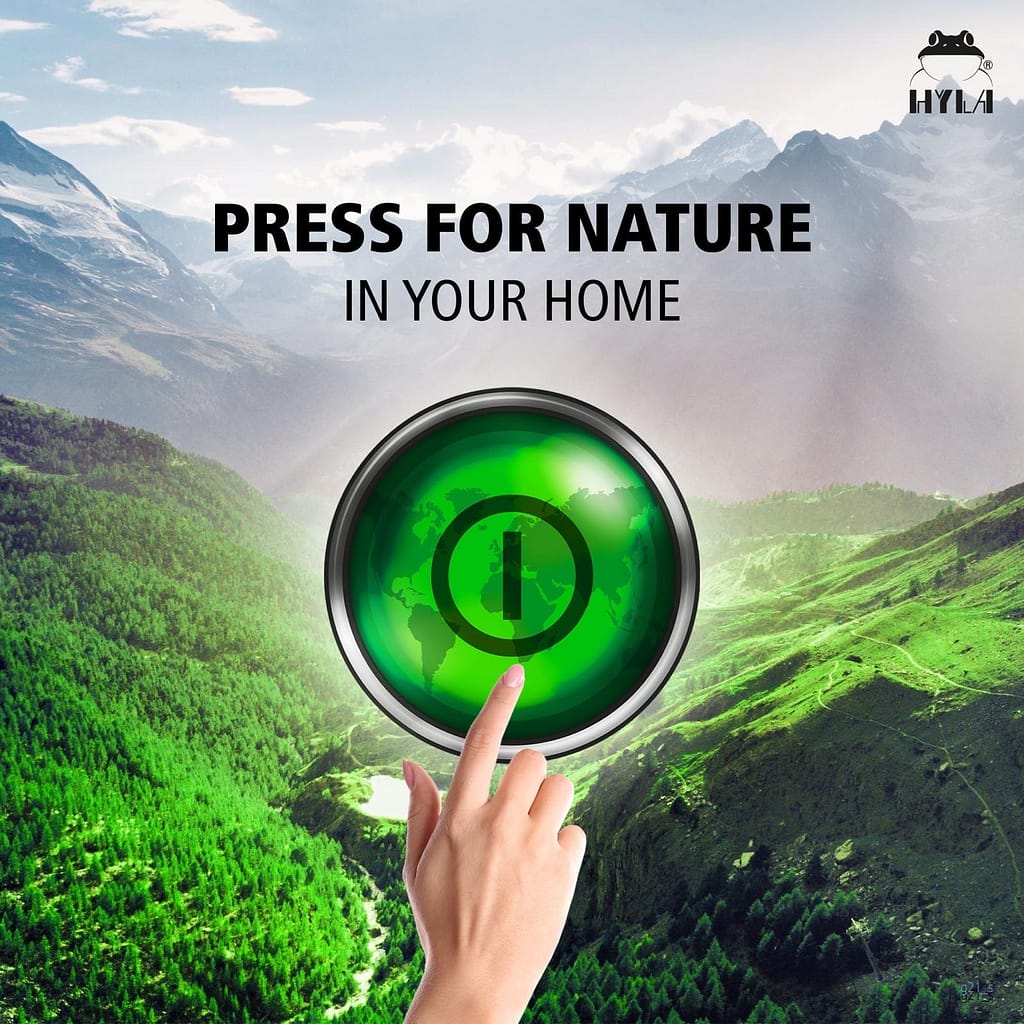 Raumluft verbessern zuhause – 10 einfache Maßnahmen für ein gesundes Raumklima 2 390cb661 90fc 4992 b2e8 250528fe91ba