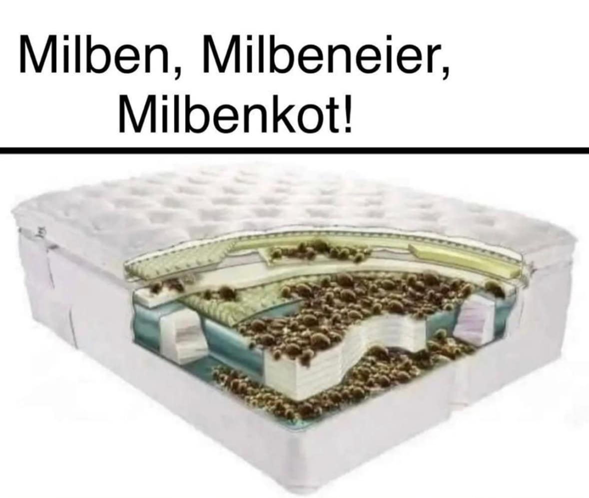 Ratgeber für saubere Raumluft und ein gesundes Zuhause 4 Threema 2025 11 24 21 50 13 1