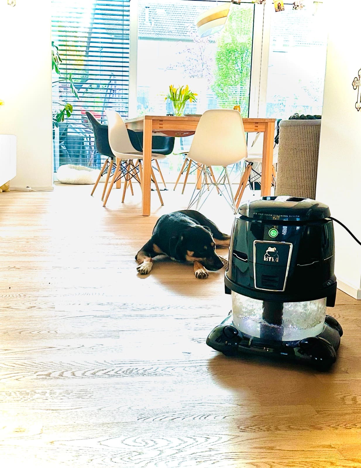HYLA EST Defender in gemütlicher Wohnatmosphäre mit Hund – saubere Raumluft für Ihr Zuhause