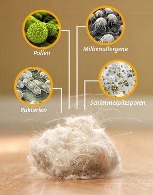 Ratgeber für saubere Raumluft und ein gesundes Zuhause 5 afa06eba cf40 4c0c 9a1a 33edf69f3520